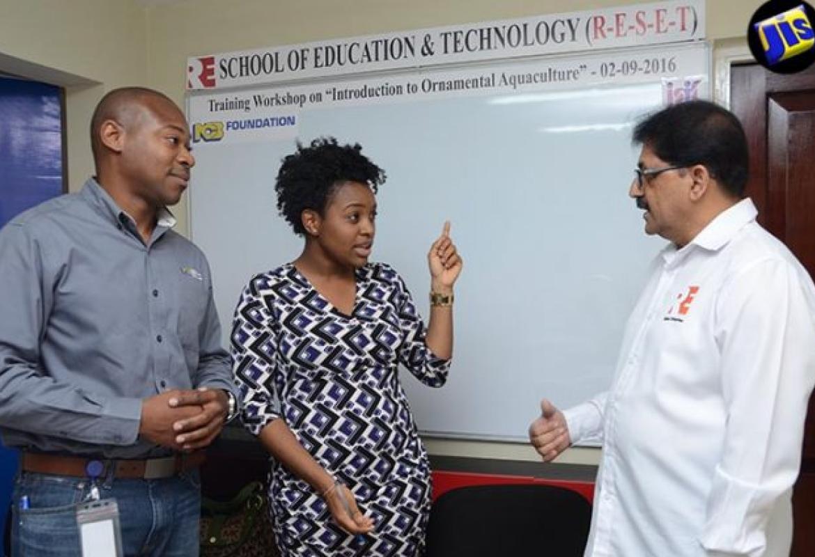 AtRisk Youth Trained in Ornamental Fish Farming Jamaica Social